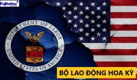 DOL LÀ GÌ? ĐẶC ĐIỂM CỦA DOL - CÂN ĐIỆN TỬ FUJIHATSU