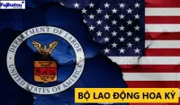 DOL LÀ GÌ? ĐẶC ĐIỂM CỦA DOL - CÂN ĐIỆN TỬ FUJIHATSU