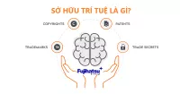 SỞ HỮU TRÍ TUỆ LÀ GÌ? ĐẶC ĐIỂM CỦA SỞ HỮU TRÍ TUỆ - CÂN ĐIỆN TỬ FUJIHATSU