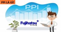 PPI LÀ GÌ? NỘI DUNG VÀ ĐẶC ĐIỂM CỦA PPI - CÂN ĐIỆN TỬ FUJIHATSU