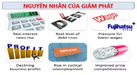 NGUYÊN NHÂN CỦA GIẢM PHÁT - CÂN ĐIỆN TỬ FUJIHATSU
