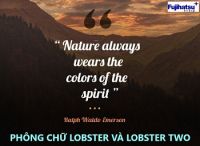 Phông chữ Lobster và Lobster Two - Cân điện tử fujihatsu