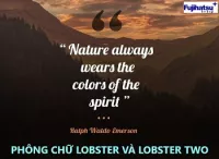 Phông chữ Lobster và Lobster Two - Cân điện tử fujihatsu