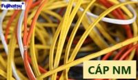 Cáp NM của cân điện tử - Cân điện tử fujihatsu