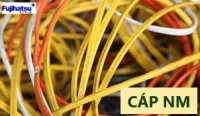 Cáp NM của cân điện tử - Cân điện tử fujihatsu