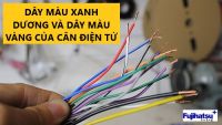 Dây điện màu xanh dương và dây màu vàng của cân điện tử có ý nghĩa gì?