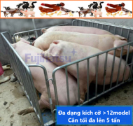 CÂN ĐIỆN TỬ FUJIHATSU - THƯƠNG HIỆU ĐÁNG TIN CẬY TẠI HÀ NAM