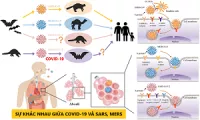 COVID-19 khác với SARS như thế nào?