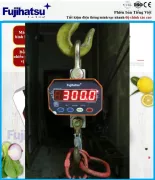 ƯU ĐIỂM CỦA CÂN MÓC CẨU KHI DÙNG Ở BẾN TRE