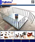 CÂN CHĂN NUÔI HAY CÂN GIA SÚC MỘT LOẠI CÂN ĐỘNG VẬT Ở HẢI DƯƠNG