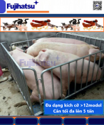 CÂN CHĂN NUÔI HAY CÂN GIA SÚC MỘT LOẠI CÂN ĐỘNG VẬT Ở HÀ NAM