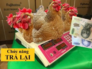 Hướng dẫn sử dụng chức năng TRẢ LẠI của cân điện tử