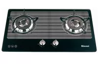 BẾP GA ÂM RINNAI RVB-2BG(L)-N