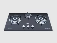 Bếp gas âm Faster FS-372S