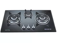 Bếp gas âm Faster FS 374S