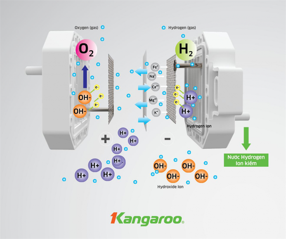 MÁY LỌC NƯỚC KANGAROO HYDROGEN ĐIỆN PHÂN ION KIỀM KG100ES VTU -2