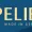 Spelier