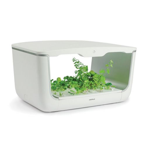 Hộp Trồng Cây H Box Hafele 539.76.990