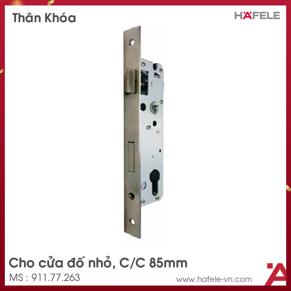 Thân Khóa Lưỡi Gà Chốt Chết Cửa Đố Nhỏ Hafele 911.77.263