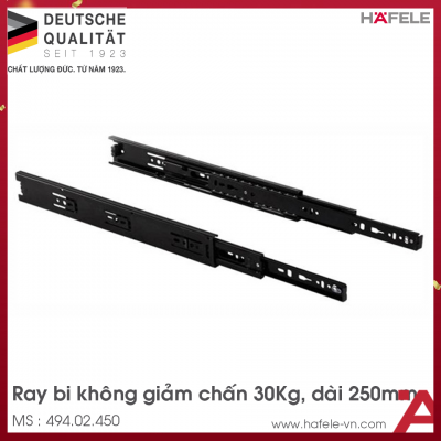 Ray Bi Không Giảm Chấn Dài 250mm Hafele 494.02.450