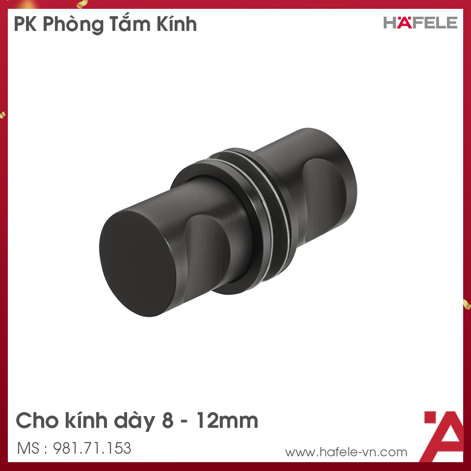 Tay Nắm Cho Cửa Kính Màu Đen Hafele 981.71.153