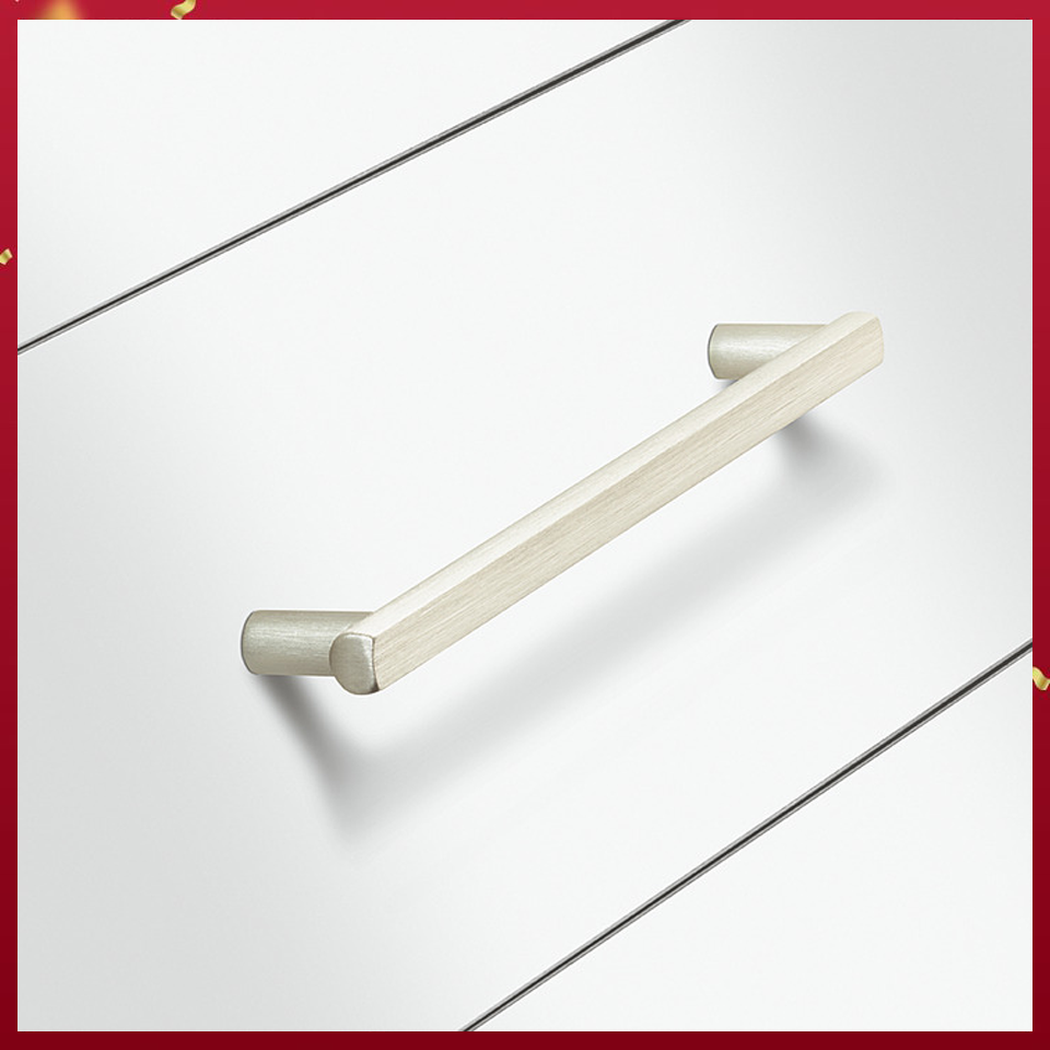 anh3-tay-nam-tu-hafele-106-60-618