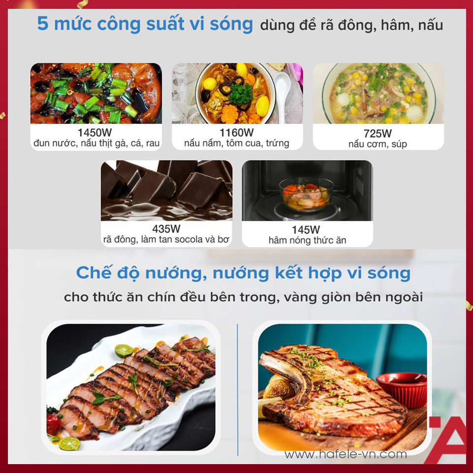 anh4-lo-vi-song-hafele-538-31-200