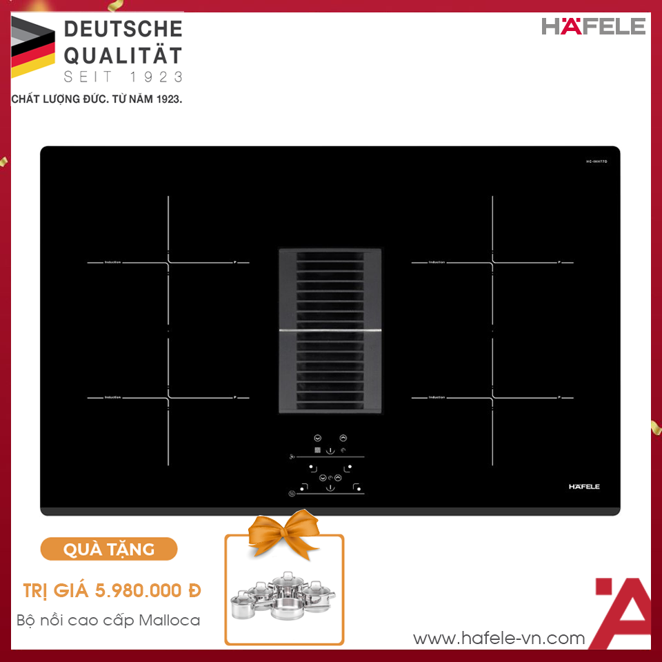 Bếp Từ Kết Hợp Máy Hút Mùi Hafele 536.61.655