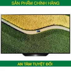 Smart Tivi OLED LG 65 inch 65C9PTA, 4K UHD, HDR