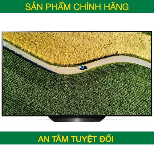 Smart Tivi OLED LG 65 inch 65C9PTA, 4K UHD, HDR