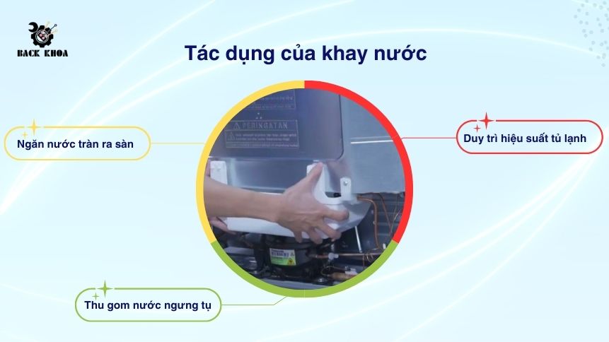 Khay nước sau tủ lạnh có tác dụng gì? Hướng dẫn chi tiết cách vệ sinh hiệu quả