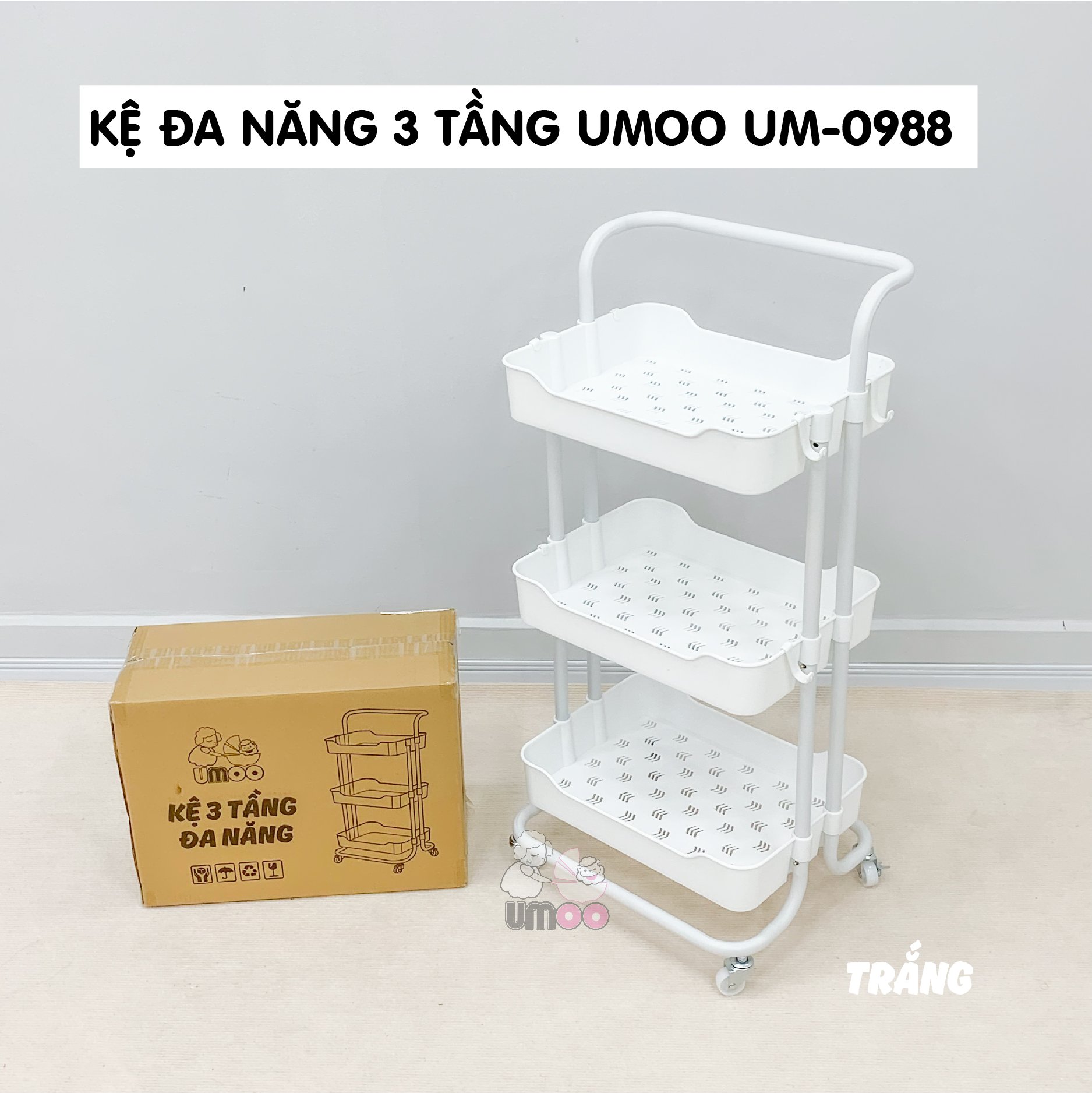 z2959961088218_cd0fa5d72d5a3c6e485516ffd66a2f38