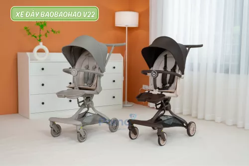 Xe đẩy Baobaohao V22