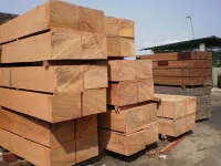 Gỗ gõ đỏ là gì? Những bộ bàn ghế gỗ gõ đỏ hot nhất thị trường