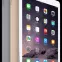 ipad-air-2-cellular-64g-1-300x420