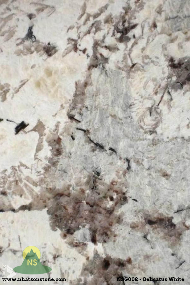 Đá Tự Nhiên Granite NSG002 - Deliatus White