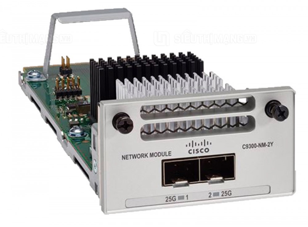 Module Cisco C9300-NM-2Y=