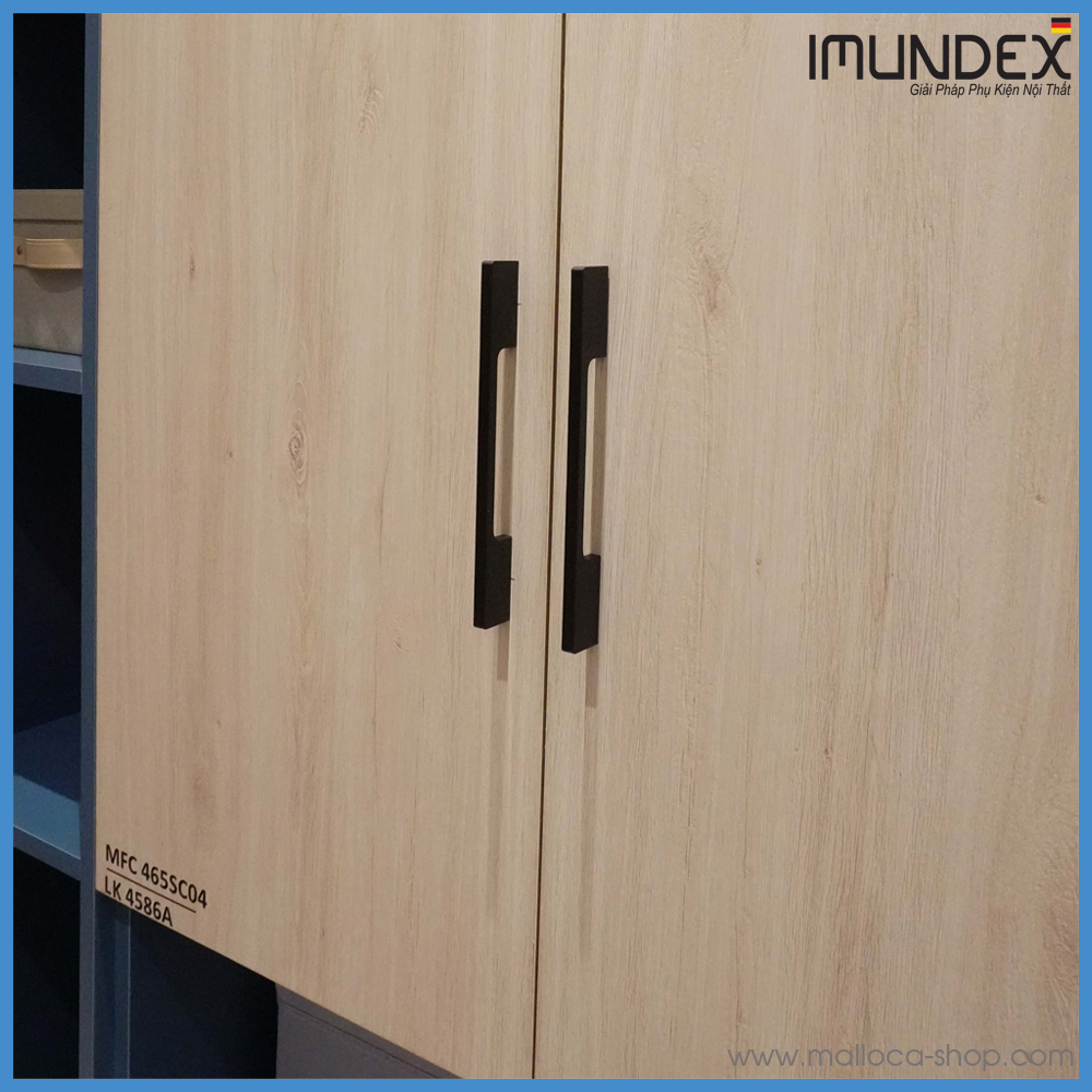 anh1-tay-nam-tu-imundex-7-754-009