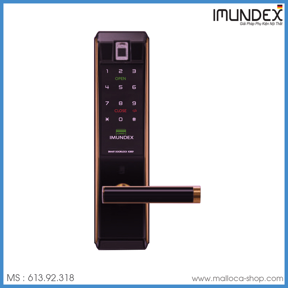 Khóa Điện Tử Imundex 613.92.318