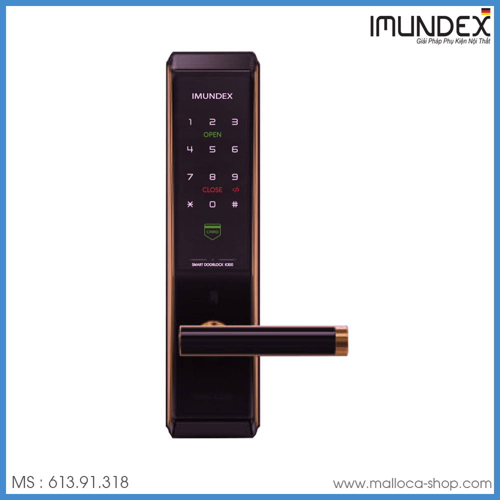 Khóa Điện Tử Imundex 613.91.318