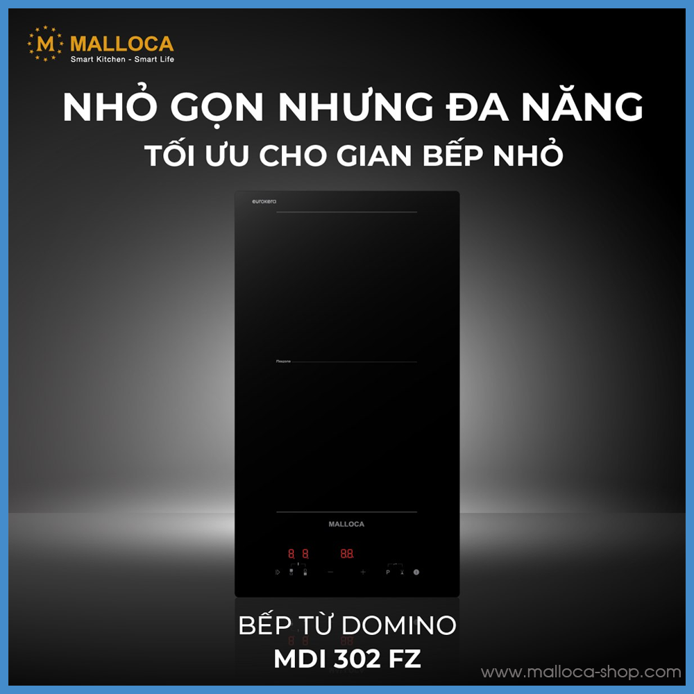 Bếp Từ Domino Malloca MDI 302 FZ