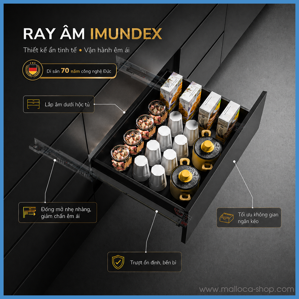 anh1-ray-ami-imundex-7-272-330