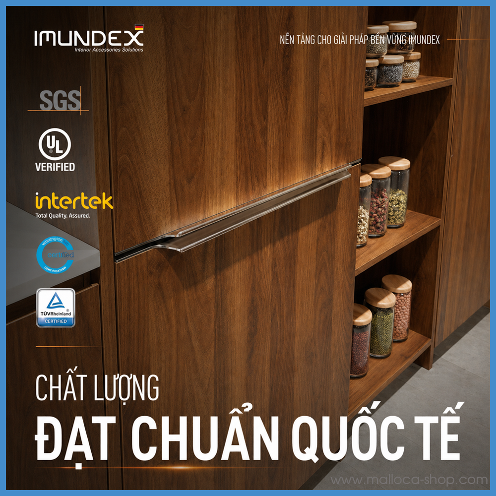 anh1-tay-nam-tu-imundex-7-753-017