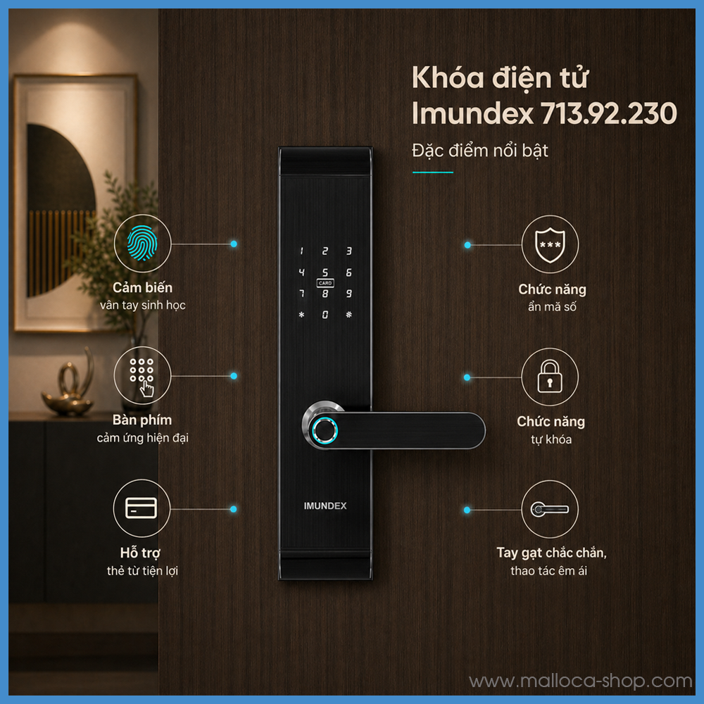 Khóa Điện Tử Imundex 713.92.230