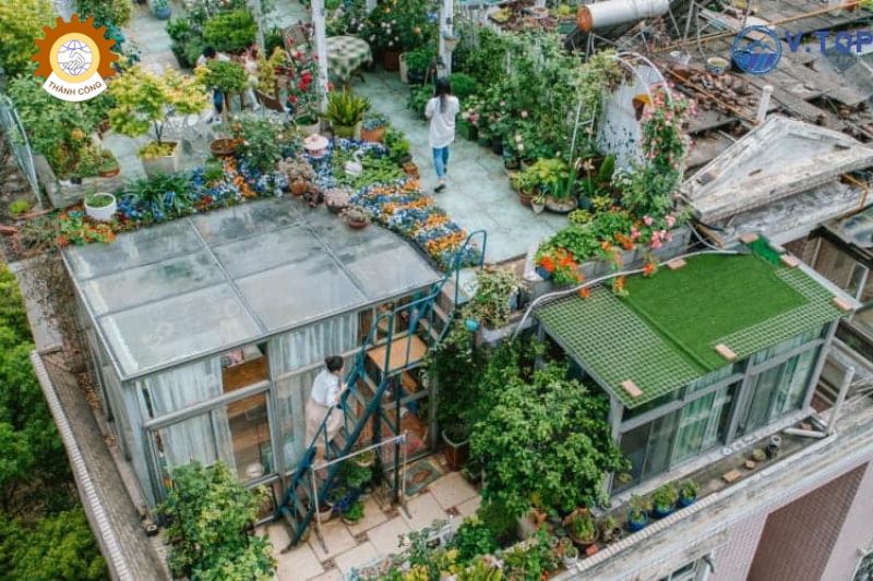 Trồng thêm cây dây leo lên trên mái tôn