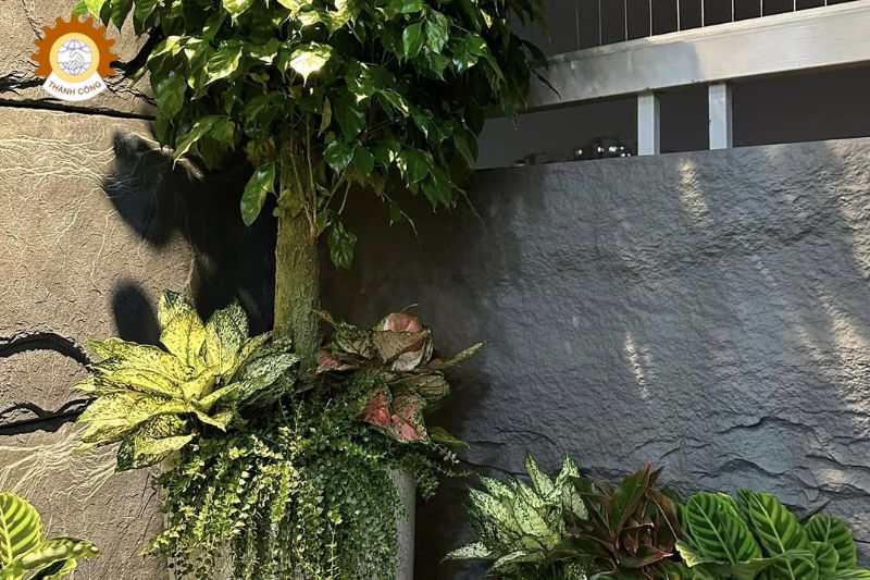 Cận cảnh Pu Foam giả đá được sản xuất bởi Thành Công