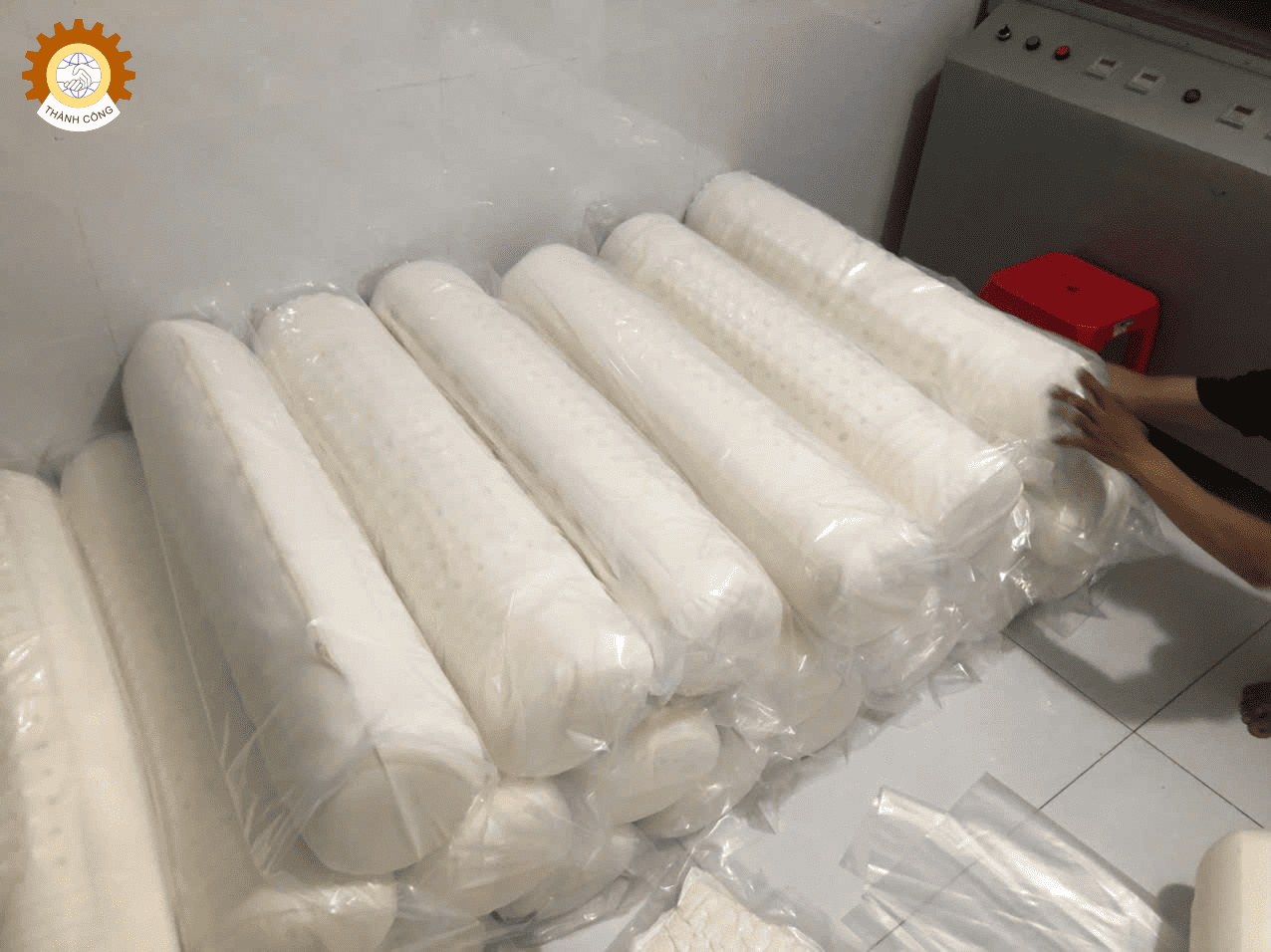 gối ôm cao su non