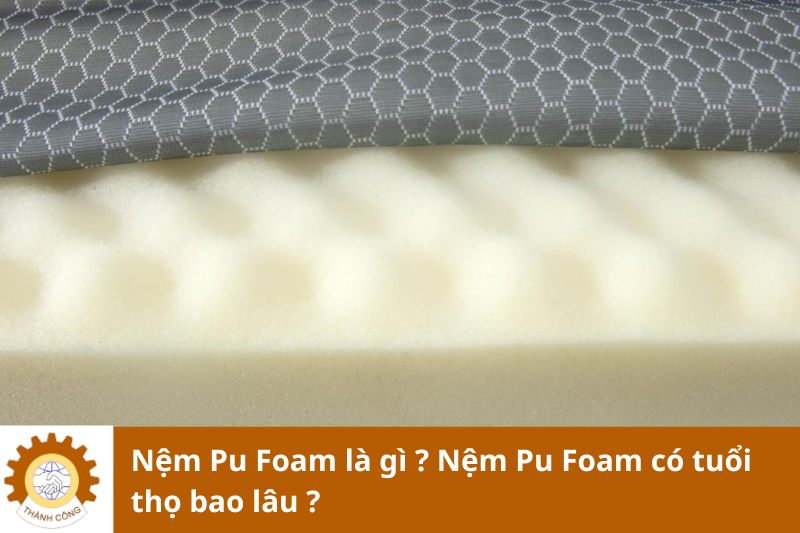 Nệm Pu Foam là gì ? Nệm Pu Foam có tuổi thọ bao lâu ?