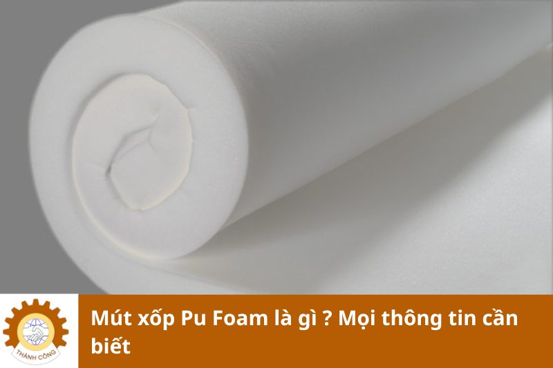 Mút xốp Pu Foam là gì ? Mọi thông tin cần biết