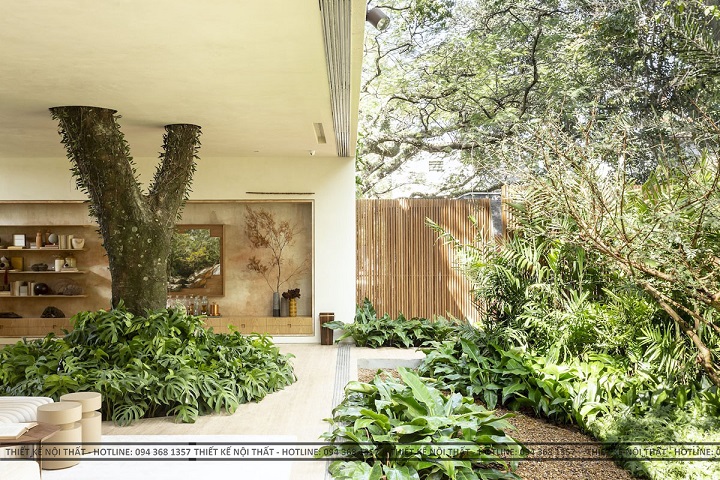 thiết kế cây xanh trong nội thất không gian nhà ở